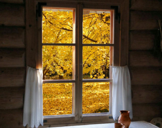 Langai Kaune: kaip išsirinkti tinkamiausius jūsų namams